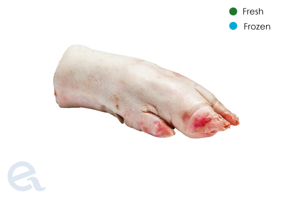 front white pork-feet