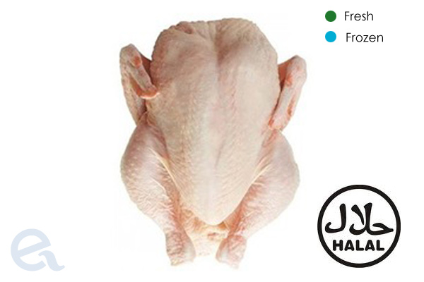 WHOLE CHICKEN HALAL